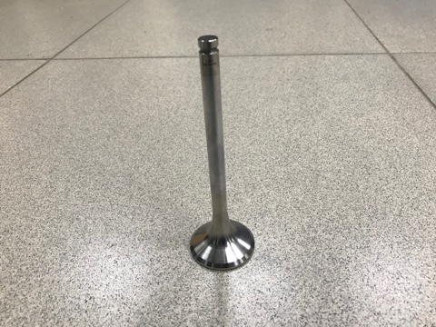 Клапан выпускной WD-615, WP-10 ЕВРО-2 LEO