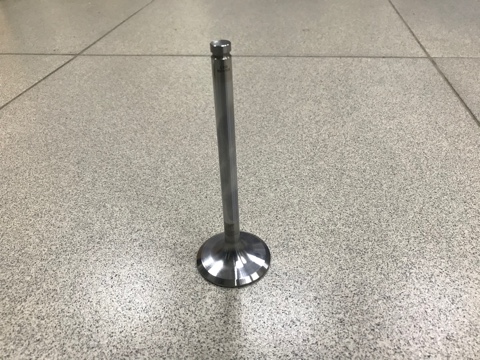 Клапан впускной WD-615, WP-10 ЕВРО-2 LEO TRADE