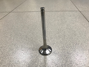 Клапан выпускной WD-615, WP-10 ЕВРО-2 LEO